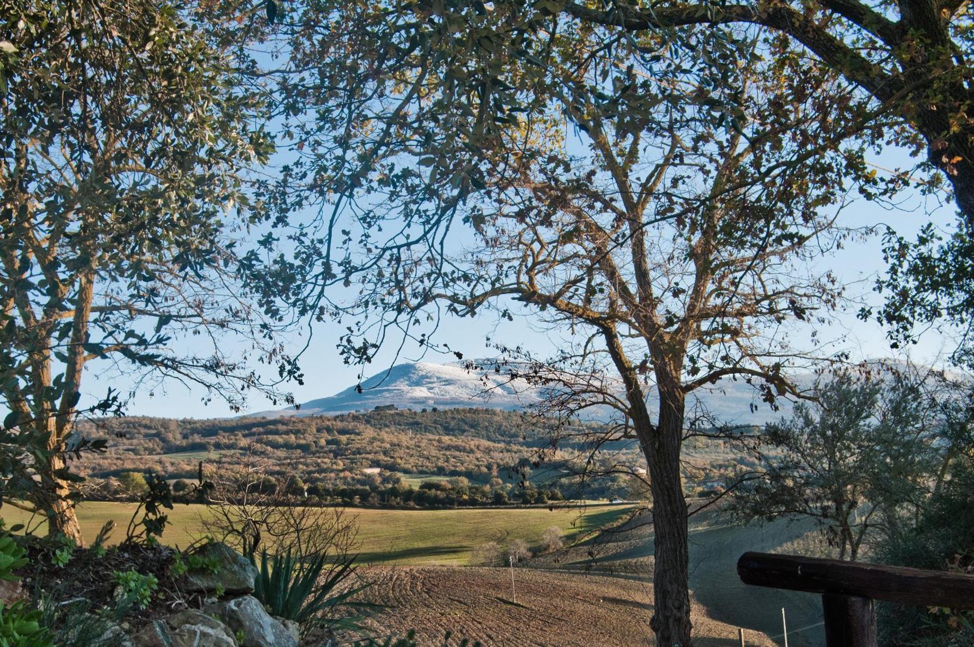 Agriturismo Grossola กัสตีลีโยเน ดิ ออร์ชา ภายนอก รูปภาพ