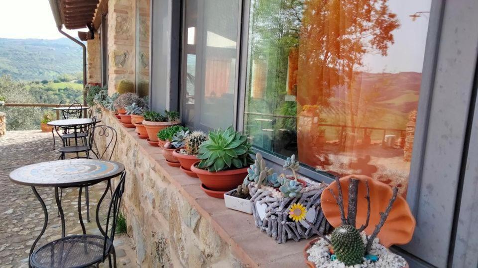 Agriturismo Grossola กัสตีลีโยเน ดิ ออร์ชา ภายนอก รูปภาพ