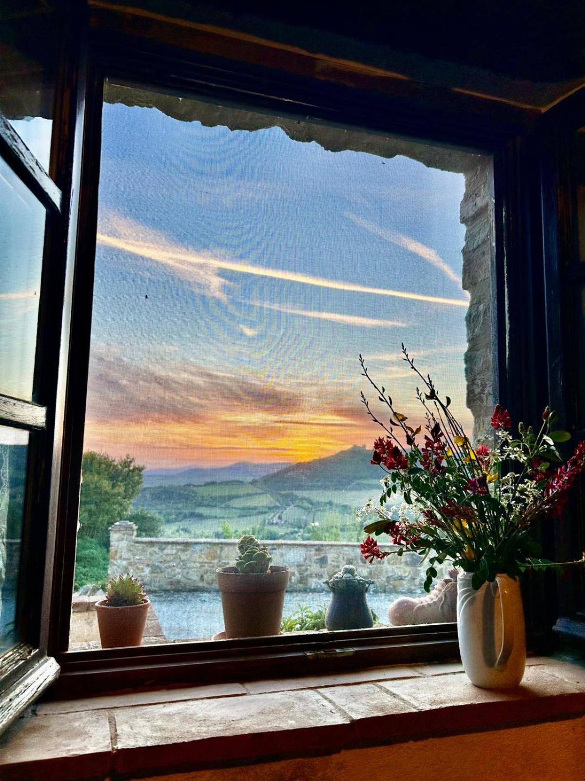 Agriturismo Grossola กัสตีลีโยเน ดิ ออร์ชา ภายนอก รูปภาพ