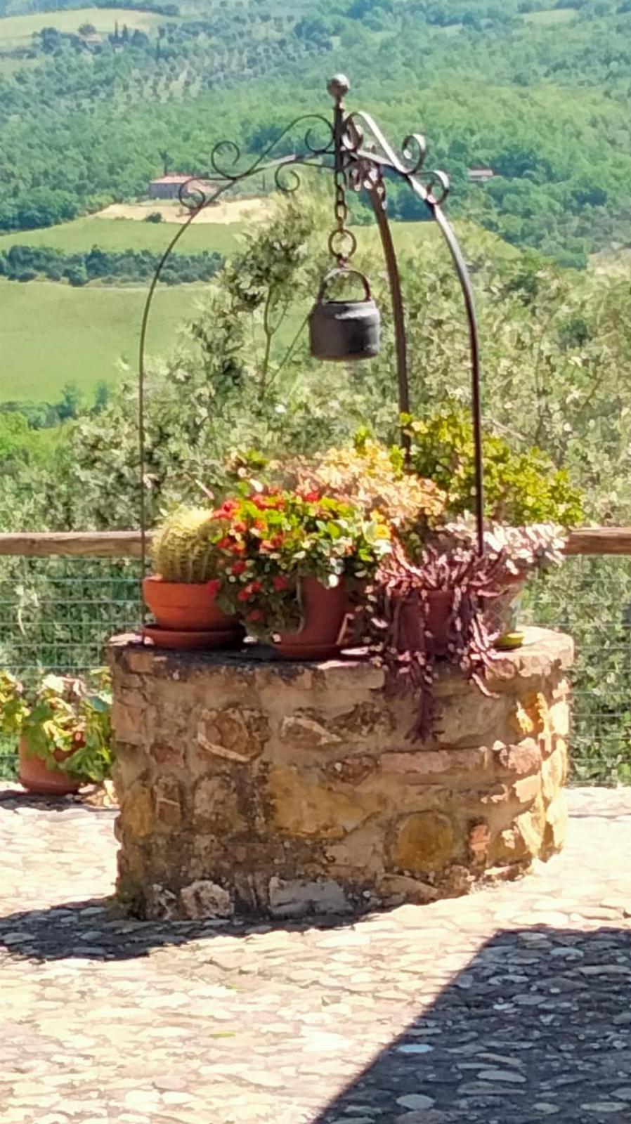 Agriturismo Grossola กัสตีลีโยเน ดิ ออร์ชา ภายนอก รูปภาพ