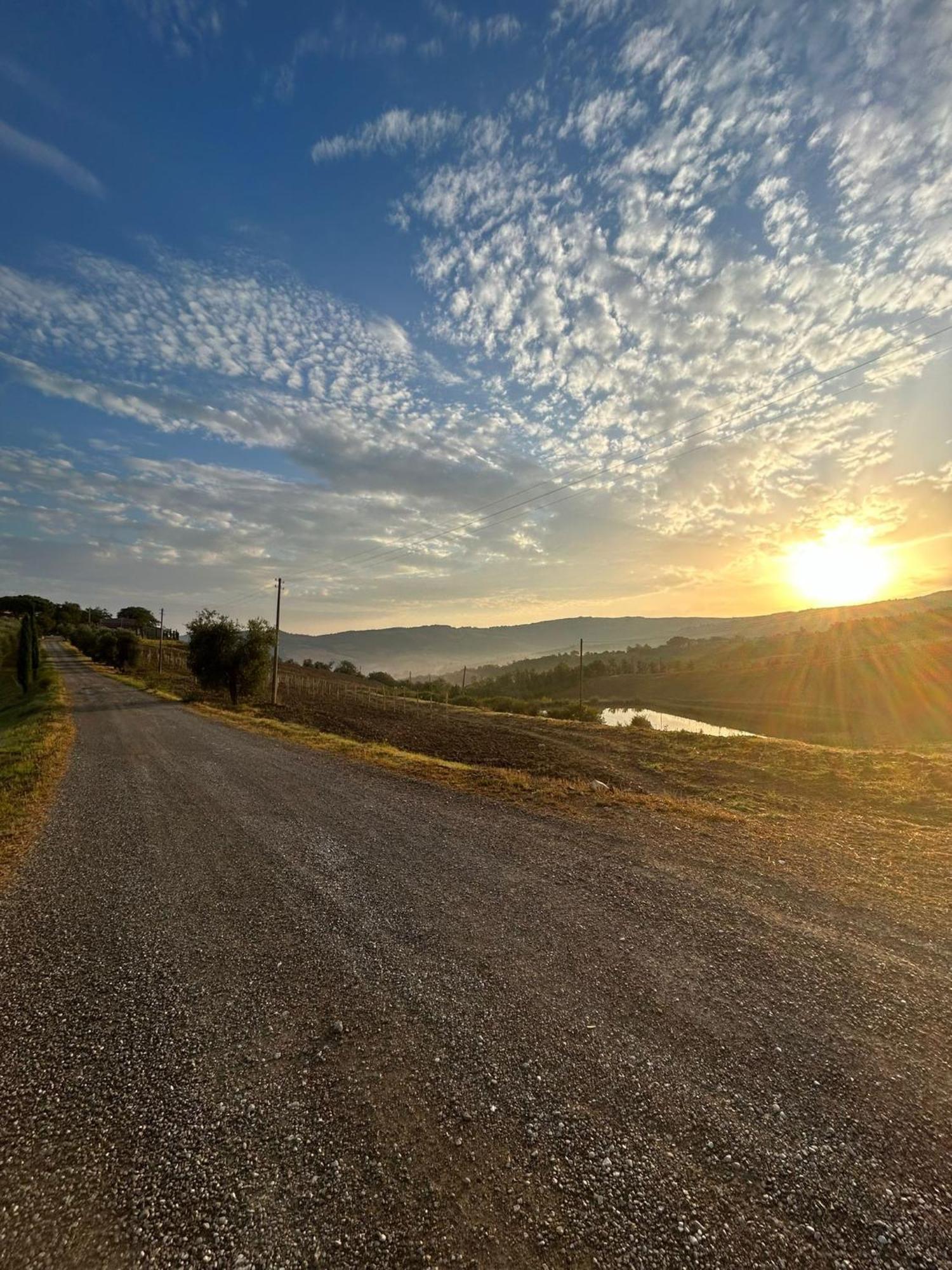 Agriturismo Grossola กัสตีลีโยเน ดิ ออร์ชา ภายนอก รูปภาพ