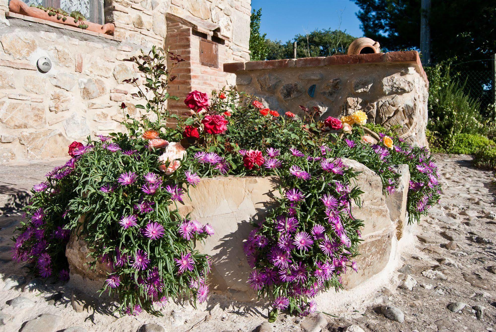 Agriturismo Grossola กัสตีลีโยเน ดิ ออร์ชา ภายนอก รูปภาพ