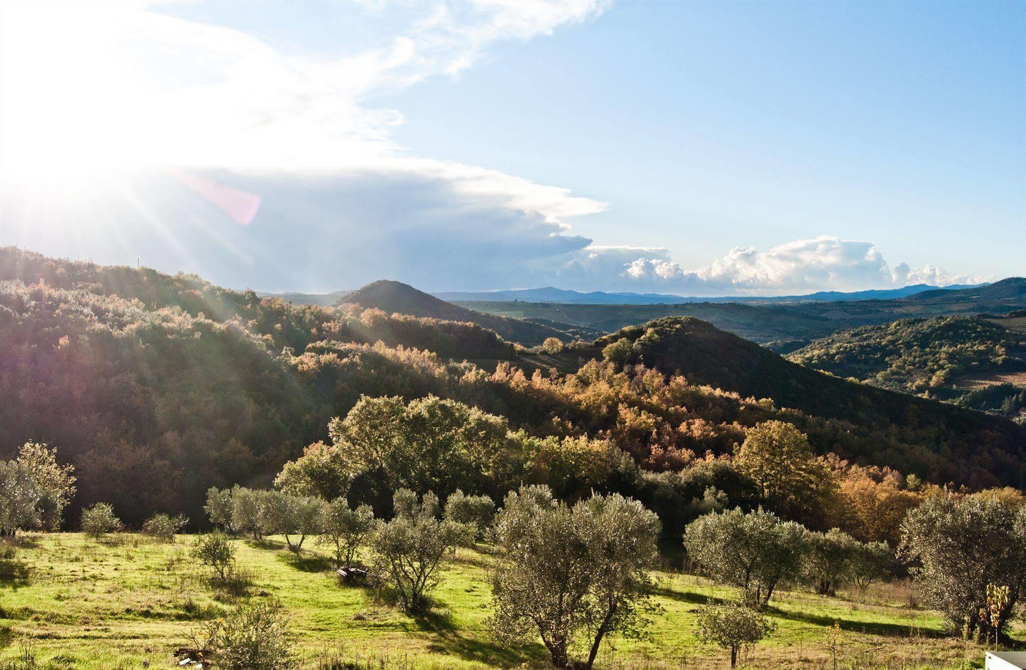 Agriturismo Grossola กัสตีลีโยเน ดิ ออร์ชา ภายนอก รูปภาพ
